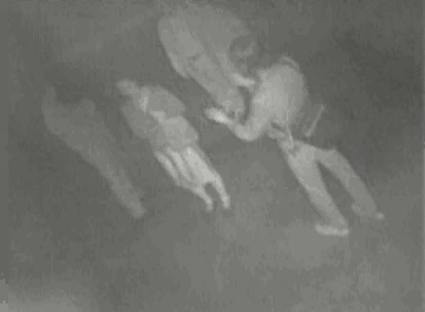 Infrared camera still from Wireframe, Surrey Art Gallery, 2009